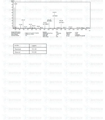 Receptor-Grade-IGF-1-LR3-1mg-MS-scaled
