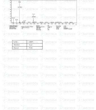 Selank-10mg-MS-1280x1810