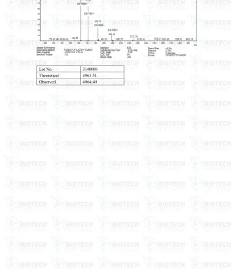 TB-500-Thymosin-Beta-4-5mg-MS-1280x1810